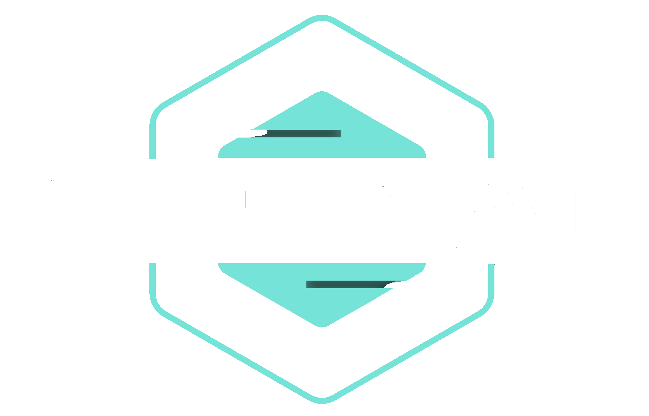 Pro 1